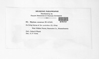 Image Associated With the Occurence